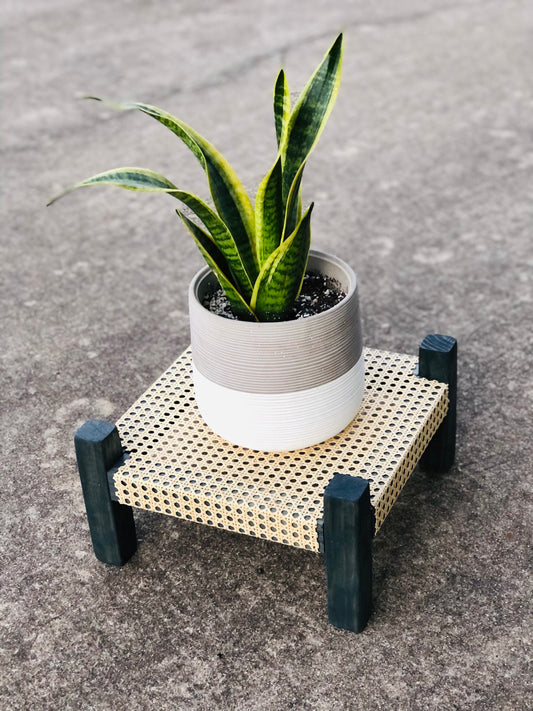 A potted snake plant with long, thin leaves sits on a woven platform with a textured surface.