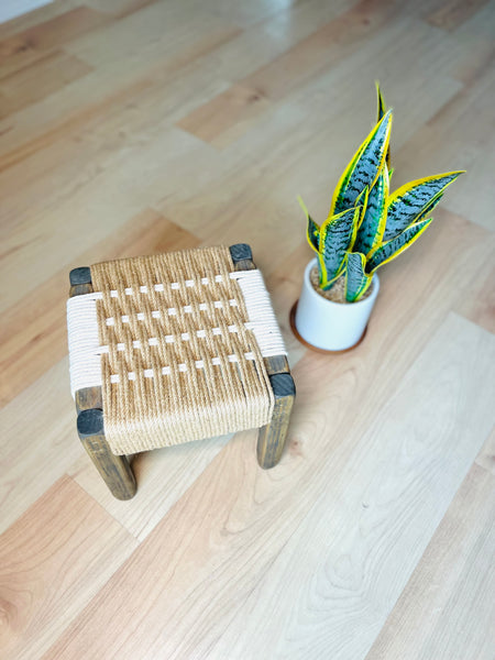 Mid-Century Modern Style Indoor Woven Plant Stand