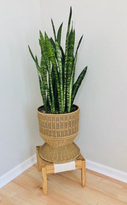 sturdy indoor plant stands Mid-Century Modern Style Indoor Plant Stand, very sturdy for larger pl – The Wood and Weave Shop