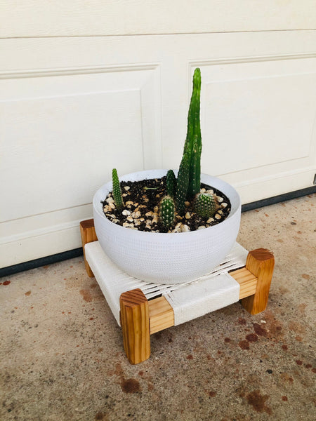 Mid-Century Modern Style Woven Indoor Plant Stand