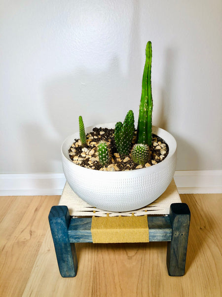 Mid-Century Modern Style Woven Indoor Plant Stand