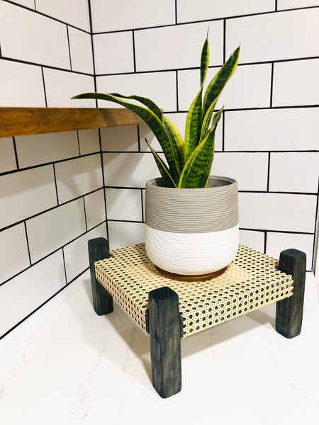 Mid-Century Modern Style Indoor Plant Stand With Cane Webbing