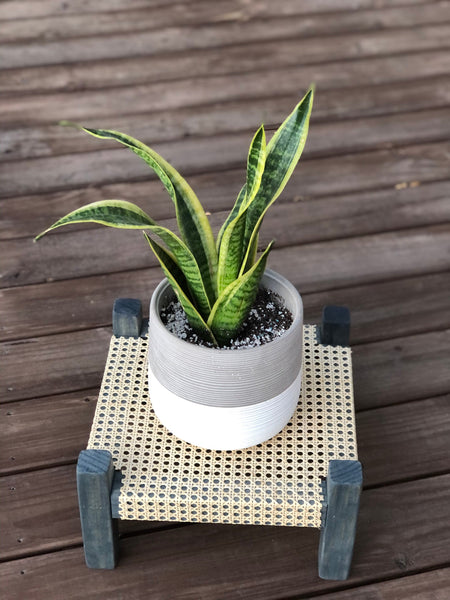 Mid-Century Modern Style Indoor Plant Stand With Cane Webbing