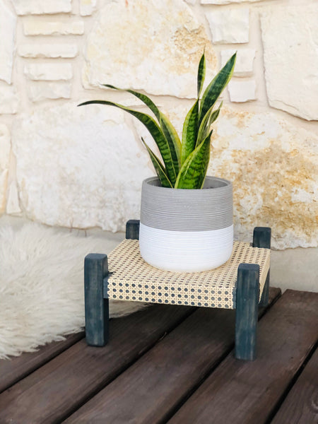 Mid-Century Modern Style Indoor Plant Stand With Cane Webbing