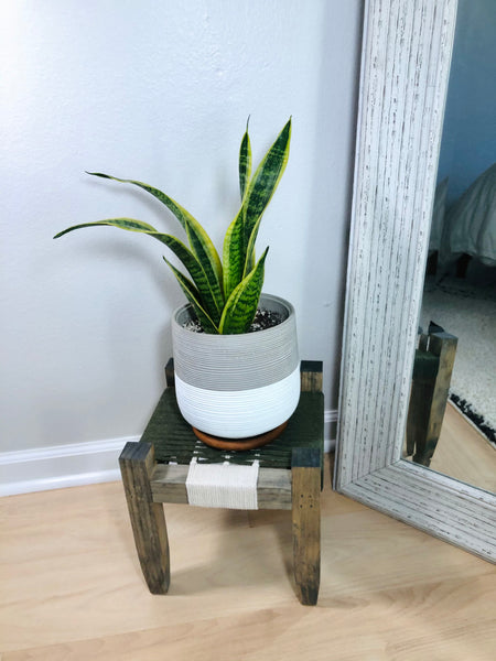 Mid-Century Modern Style Woven Indoor Plant Stand