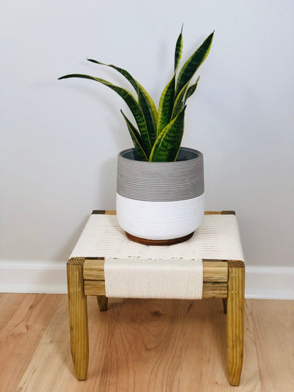Mid-Century Modern Style Woven Indoor Plant Stand