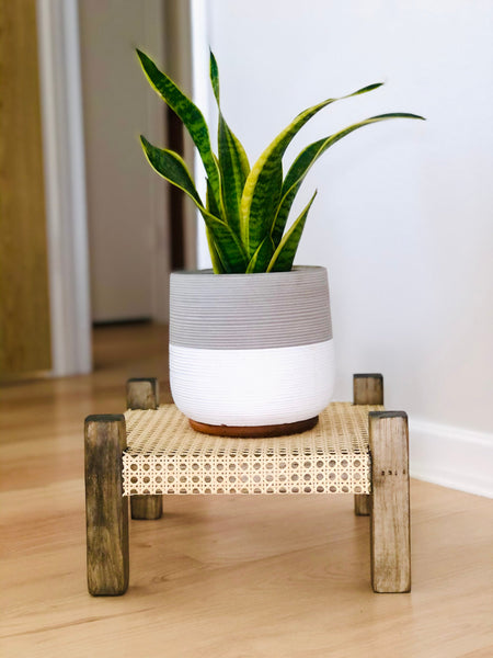 Mid-Century Modern Style Indoor Plant Stand With Cane Webbing