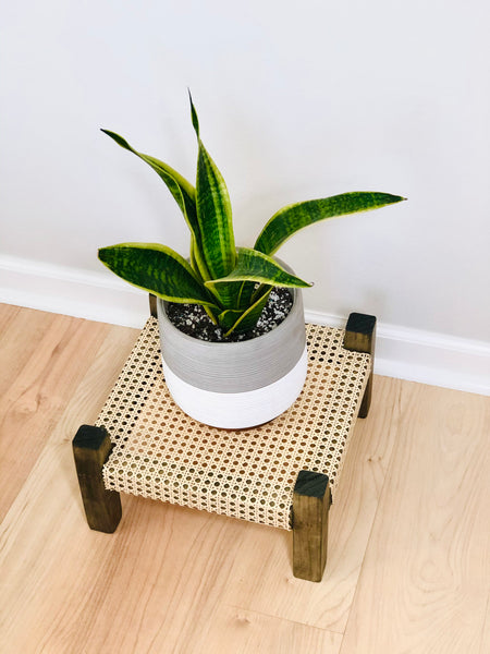 Mid-Century Modern Style Indoor Plant Stand With Cane Webbing