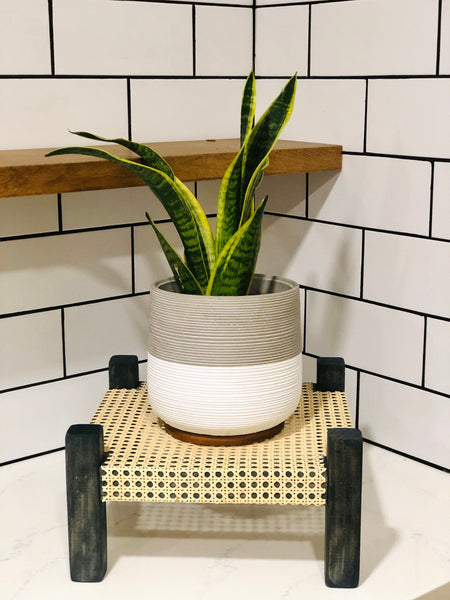 Mid-Century Modern Style Indoor Plant Stand With Cane Webbing