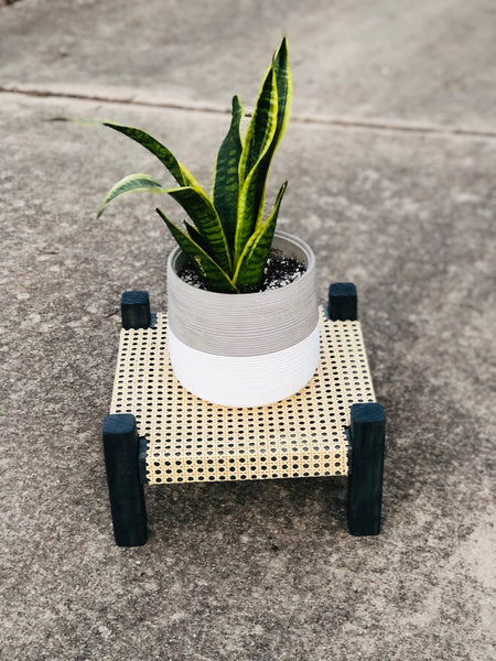 Mid-Century Modern Style Indoor Plant Stand With Cane Webbing