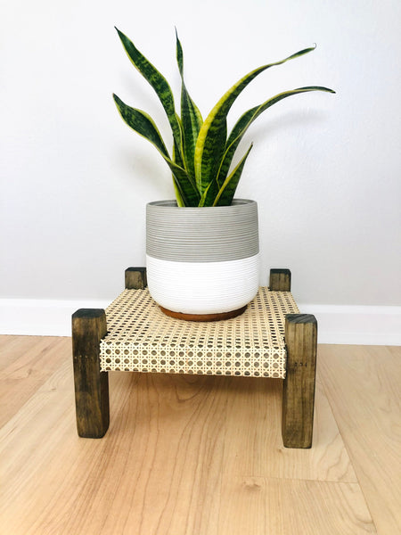 Mid-Century Modern Style Indoor Plant Stand With Cane Webbing