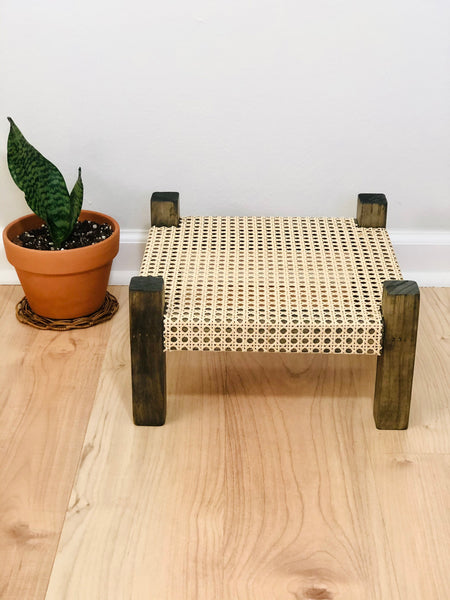 Mid-Century Modern Style Indoor Plant Stand With Cane Webbing