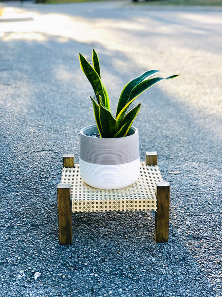 Mid-Century Modern Style Indoor Plant Stand With Cane Webbing