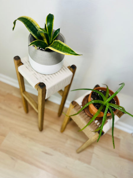 Mid-Century Modern Style Woven Indoor Plant Stands (tall set of 2)