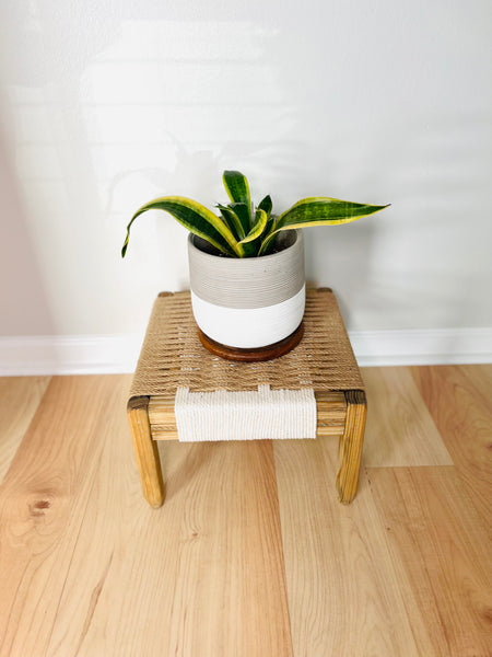 Mid-Century Modern Style Indoor Plant Stand, very sturdy for larger plants!