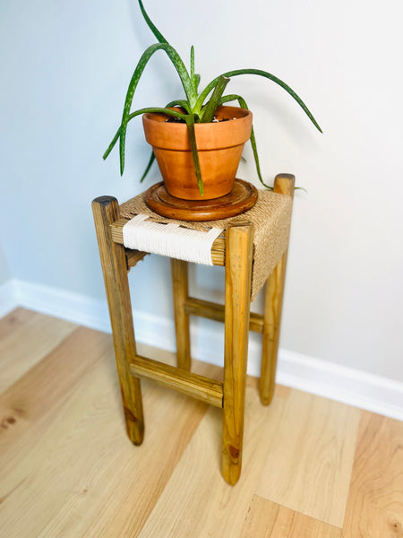 Mid-Century Modern Style Indoor Woven Plant Stand